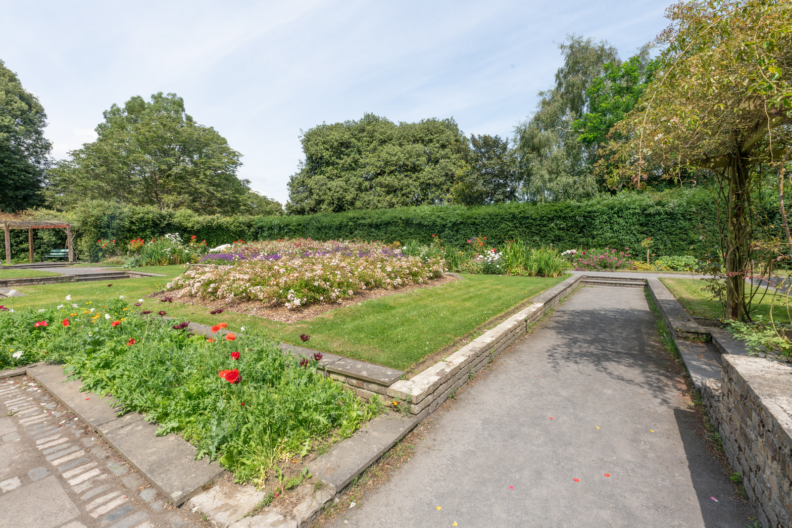CLOCK TOWER GARDEN JUNE 2025 PHOTO COLLECTIONS